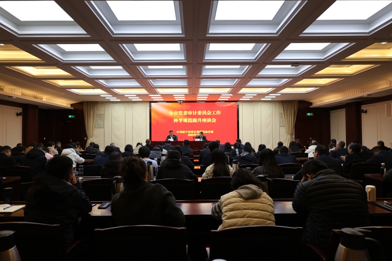 市委审计办召开全市党委审计委员会工作科学规范提升座谈会